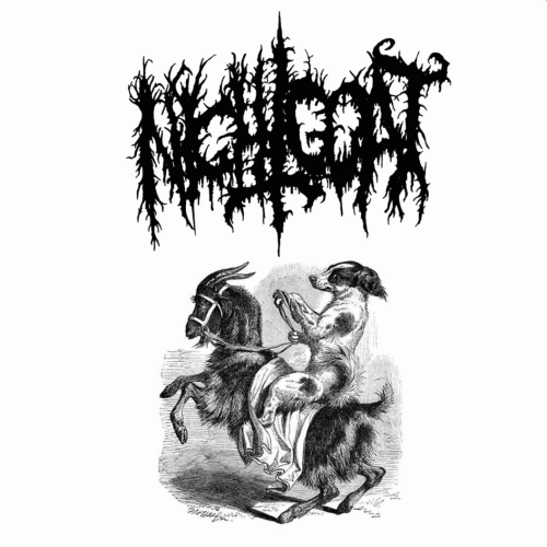 Night Goat : Goat Vegan Night Goat : Goat Vegan